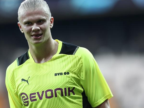 桥牌职业选手配合体系分析